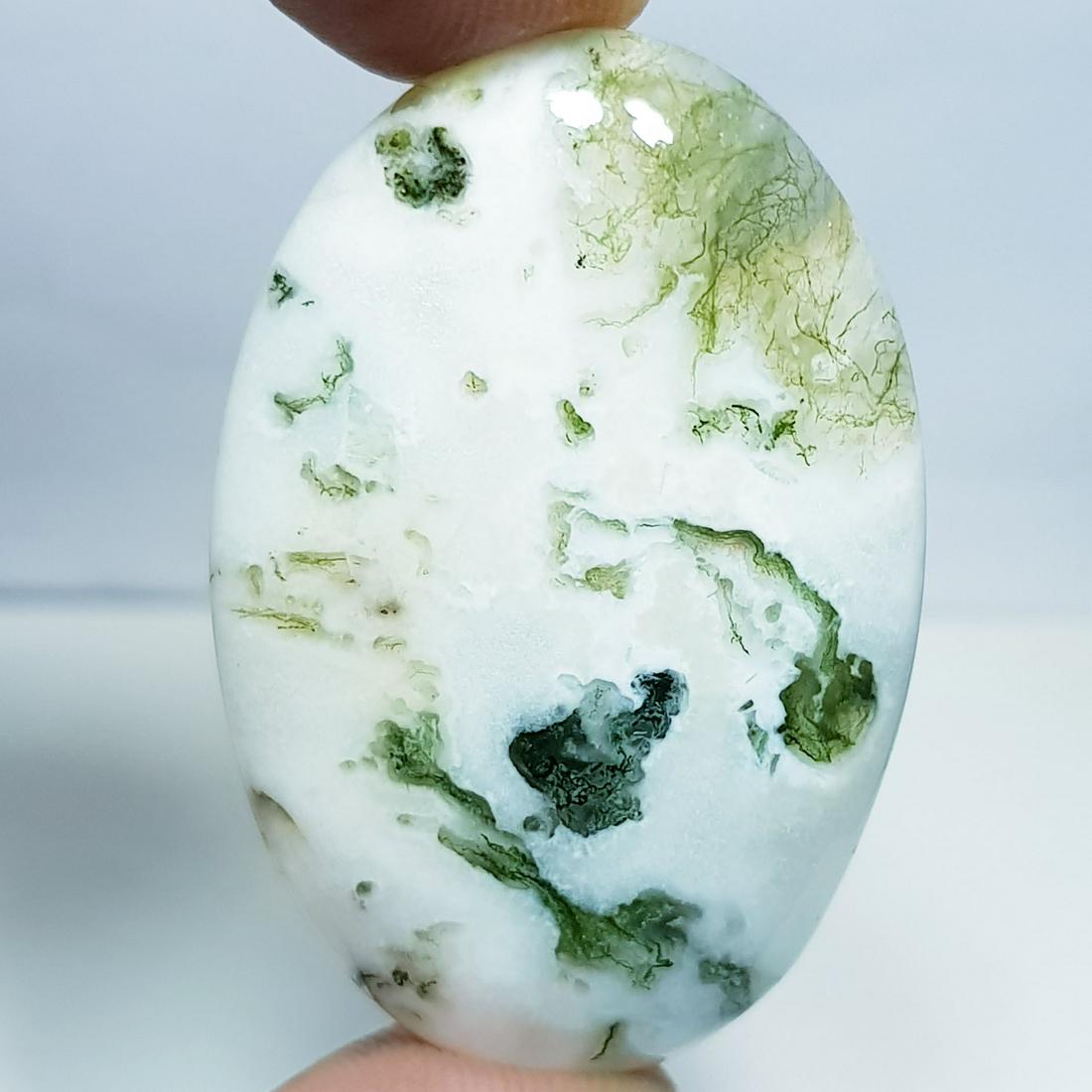 51.40 ct Natural Tree Jasper (1 of 5)