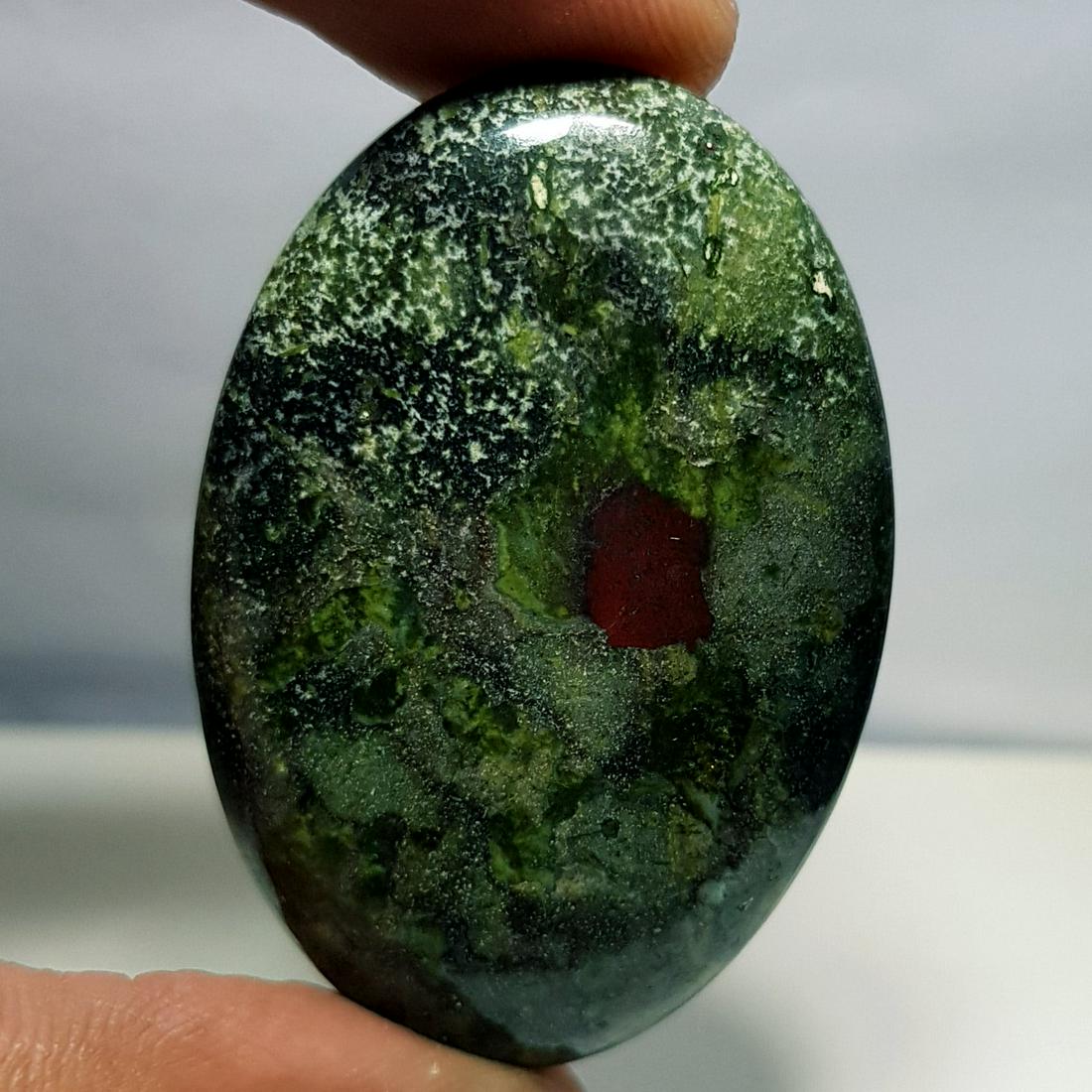 66.10 ct Natural Dragon Jasper (1 of 6)
