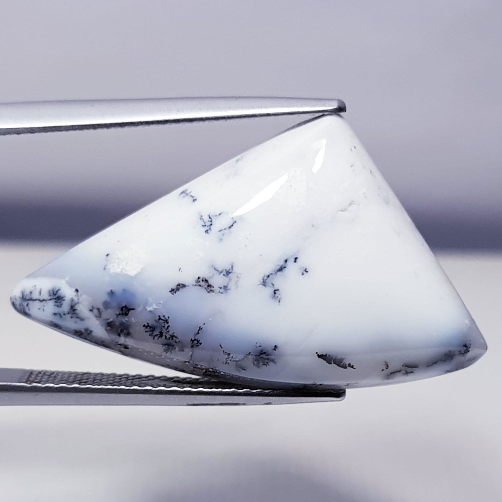 23.35 ct Natural Dendrite Opal (1 of 6)