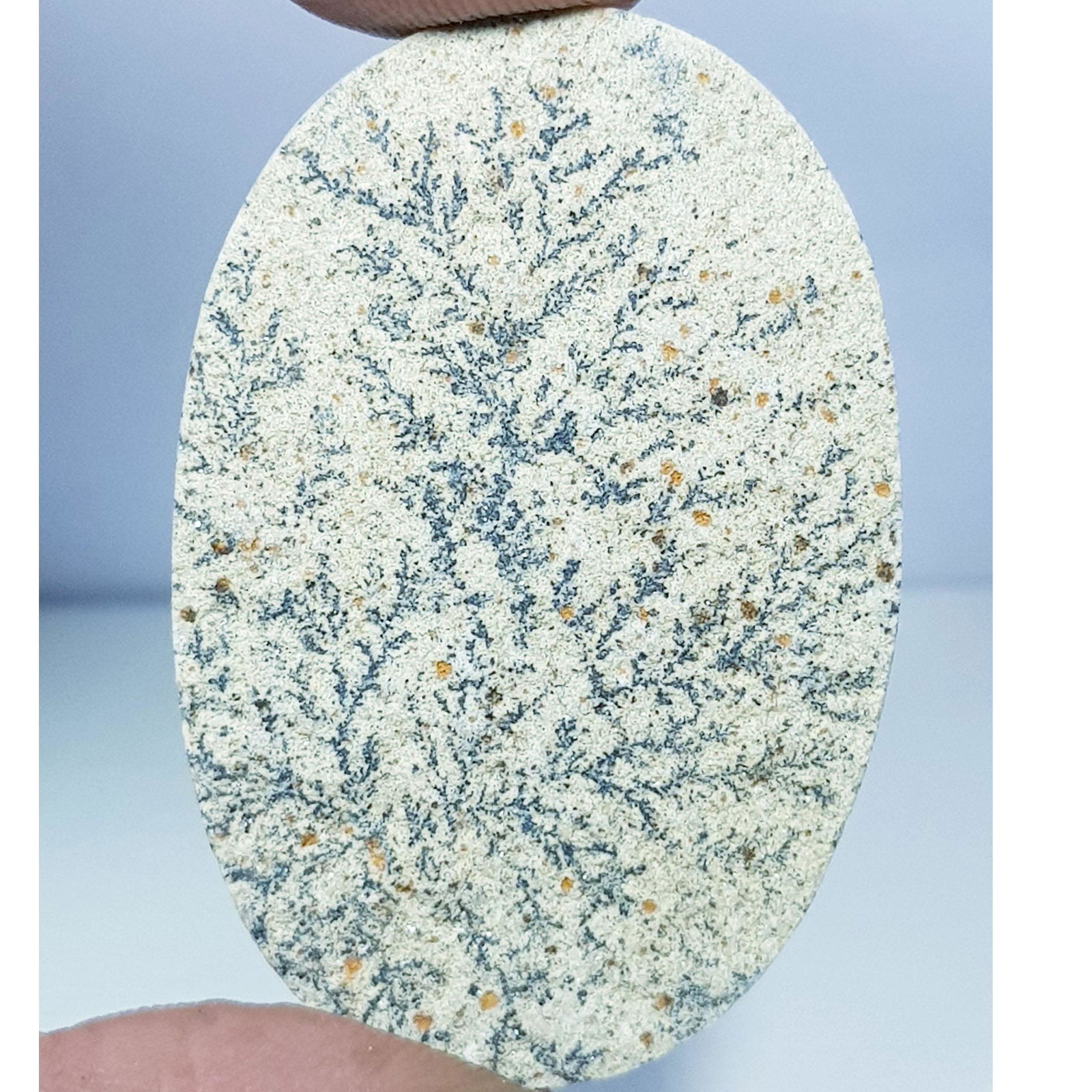 49.40 ct Natural Pisilomenlane: Oval-Brazil