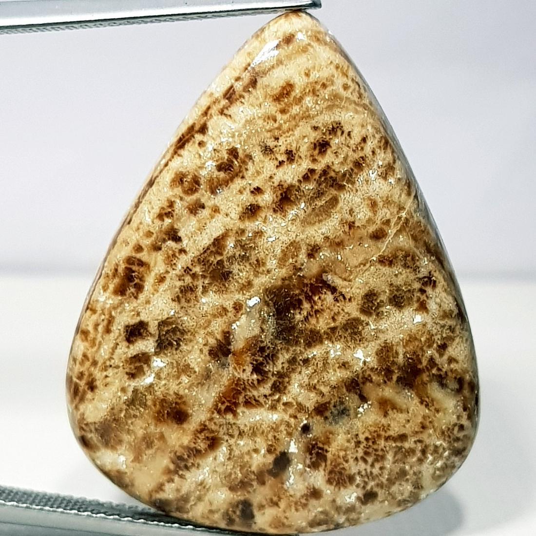 32.10 ct  Natural Aragonite (1 of 5)