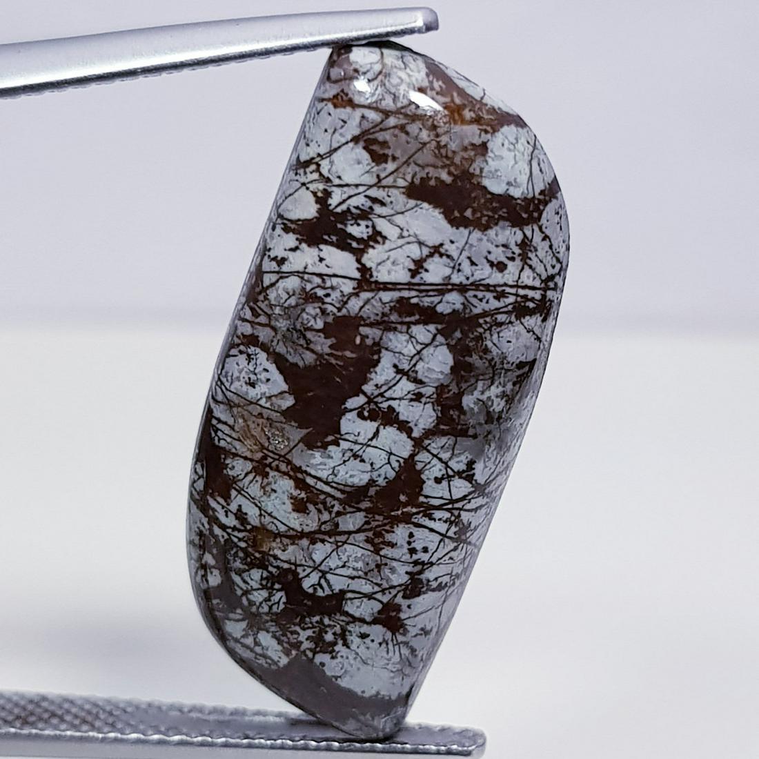 12.65 ct Natural Snowflake Obsidian: Fancy-Brazil