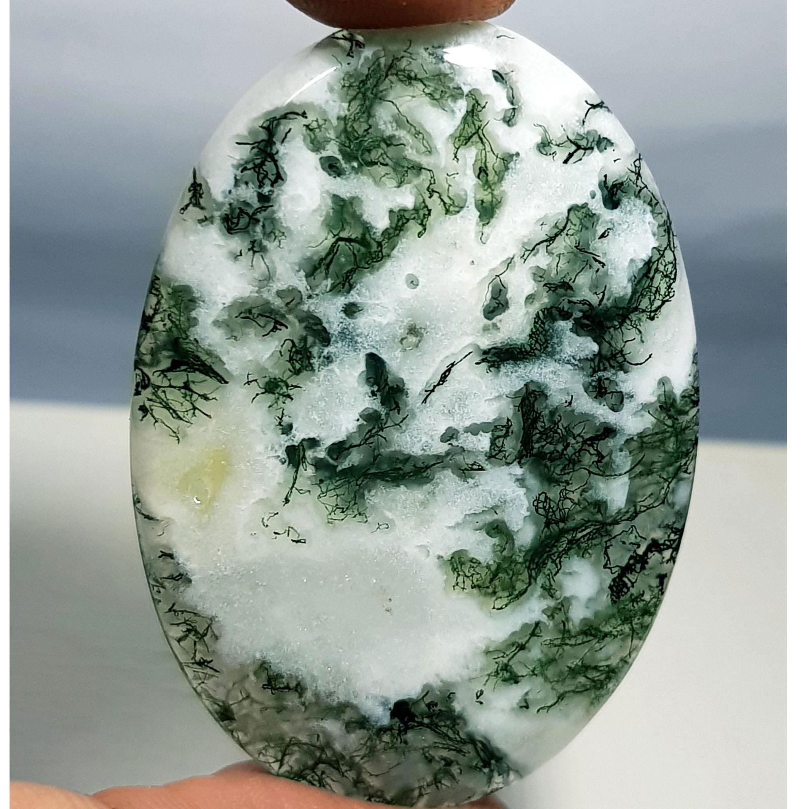 72.07 ct Natural Tree Jasper (1 of 6)