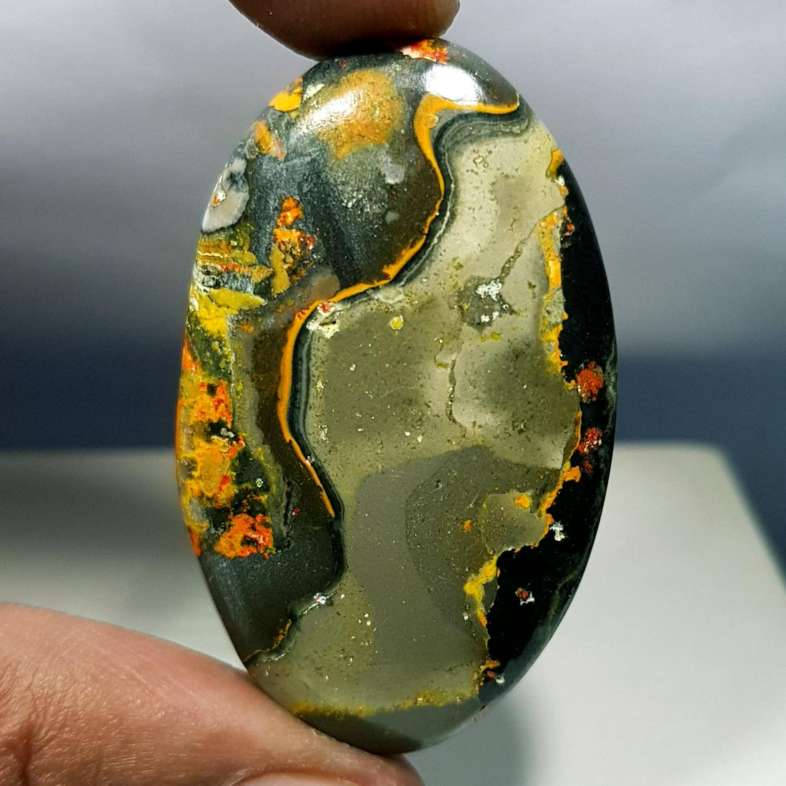 69.78 ct Natural Bumble Bee Jasper (1 of 6)