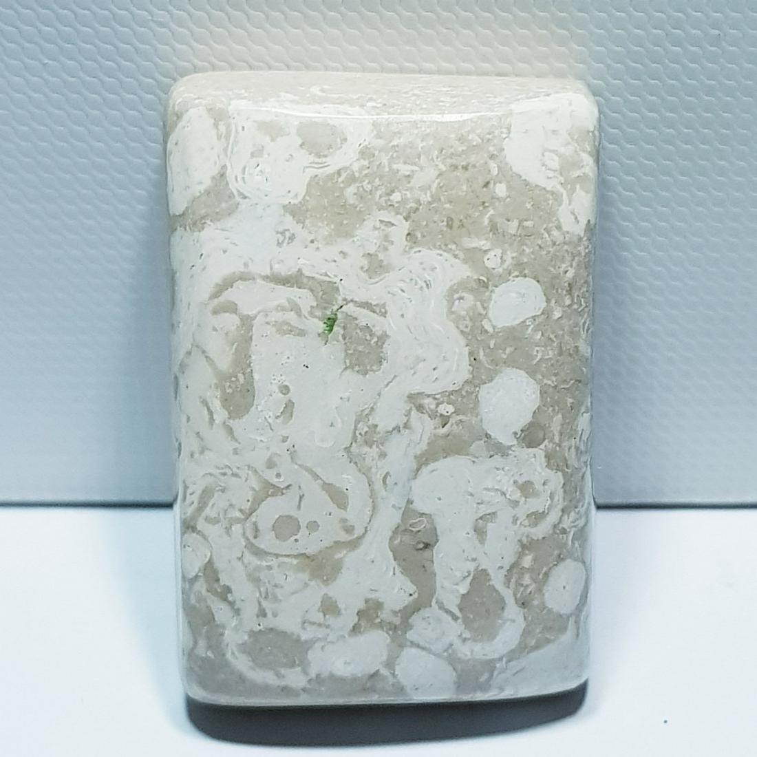 106.87 ct Natural Howlite (1 of 5)