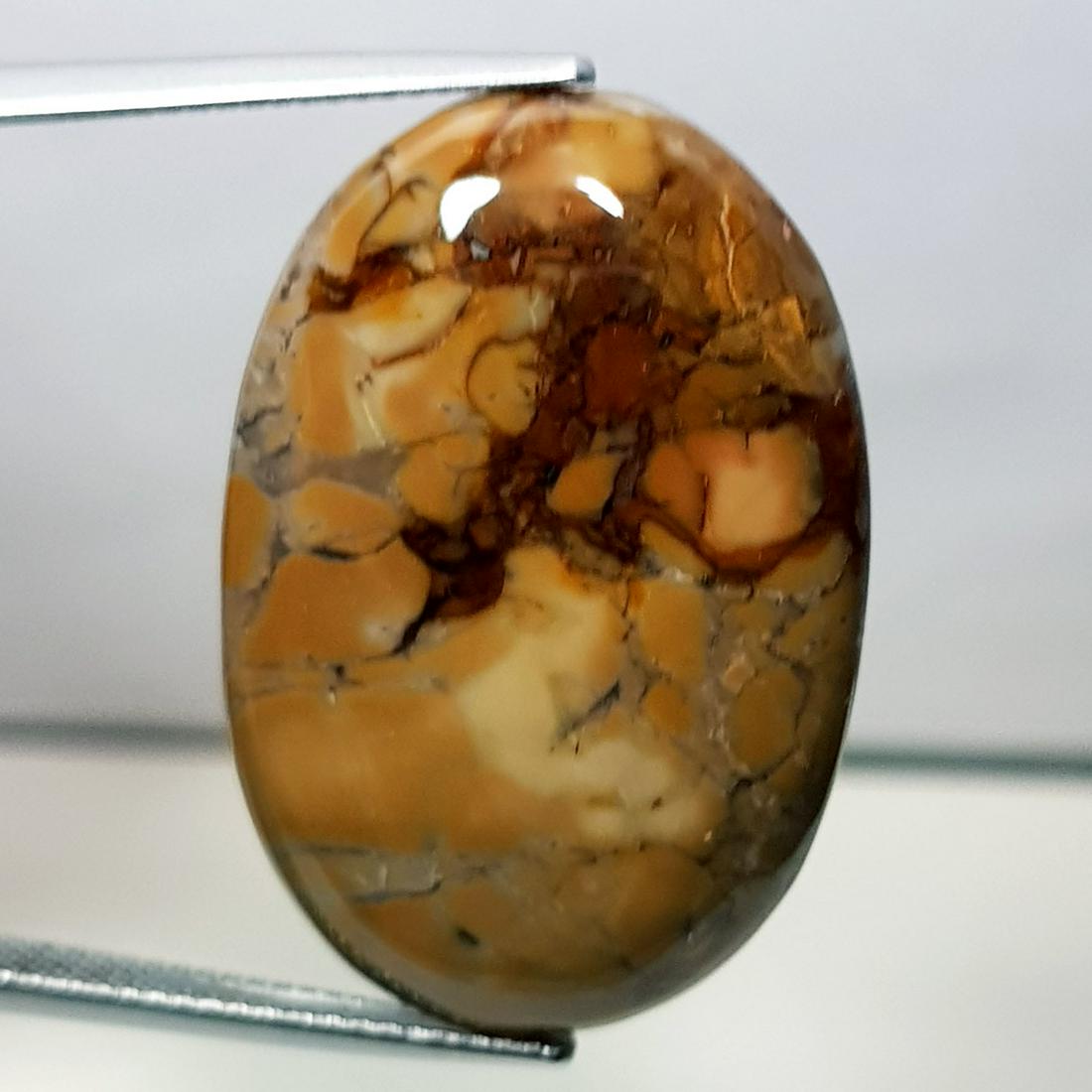 27.75 ct Natural Thunder Agate (1 of 5)