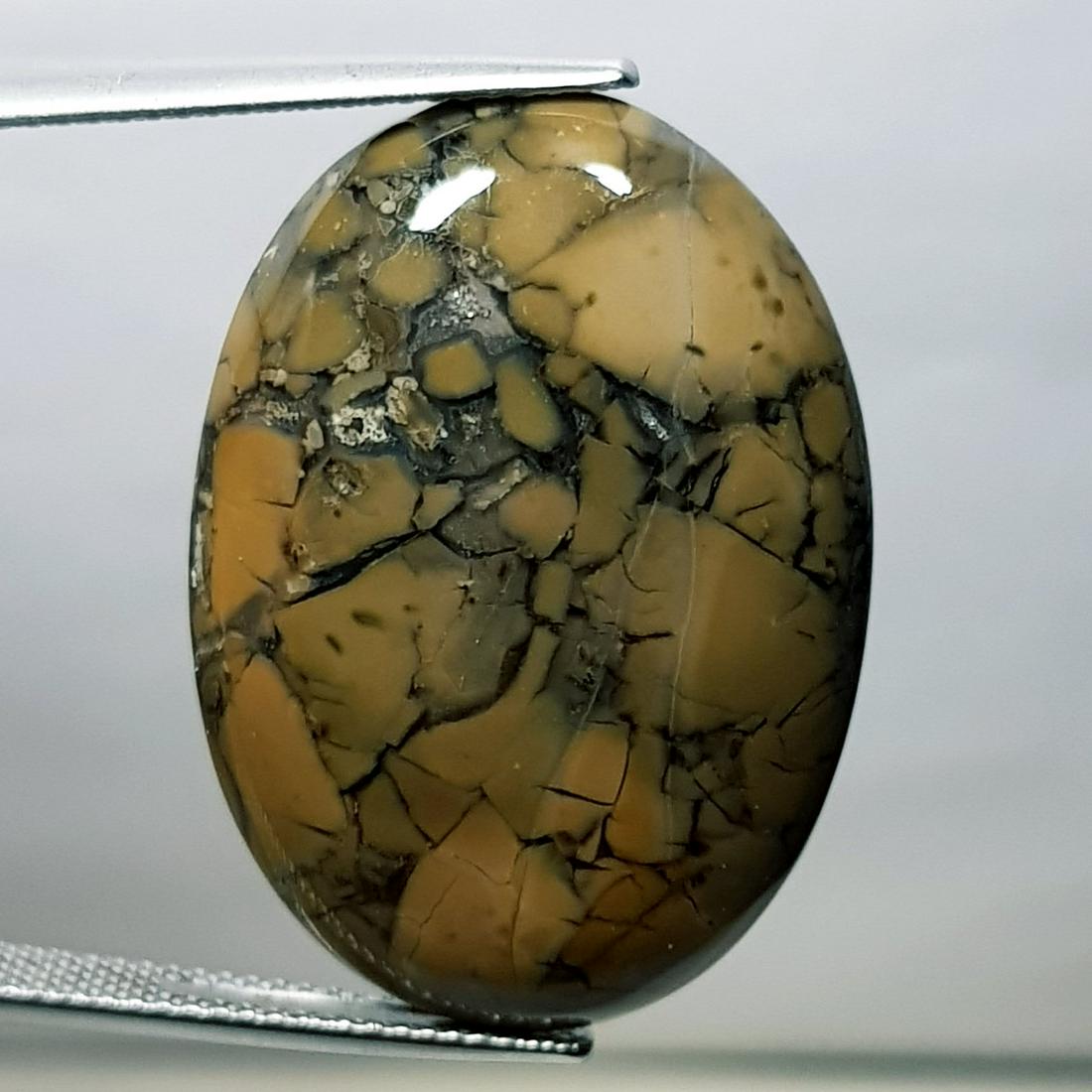 26.06 ct Natural Thunder Agate (1 of 5)