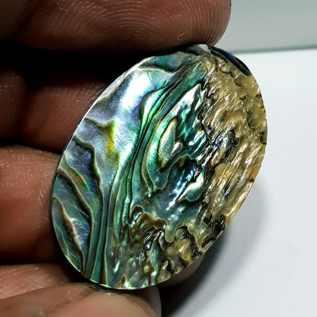 24.60 ct Australian Abalon: Oval -Australia