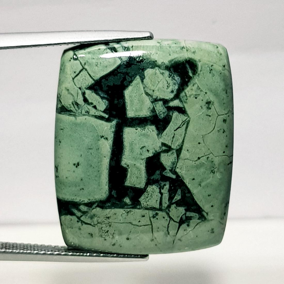 31.00 ct Natural Bracketed Turquoise (1 of 6)