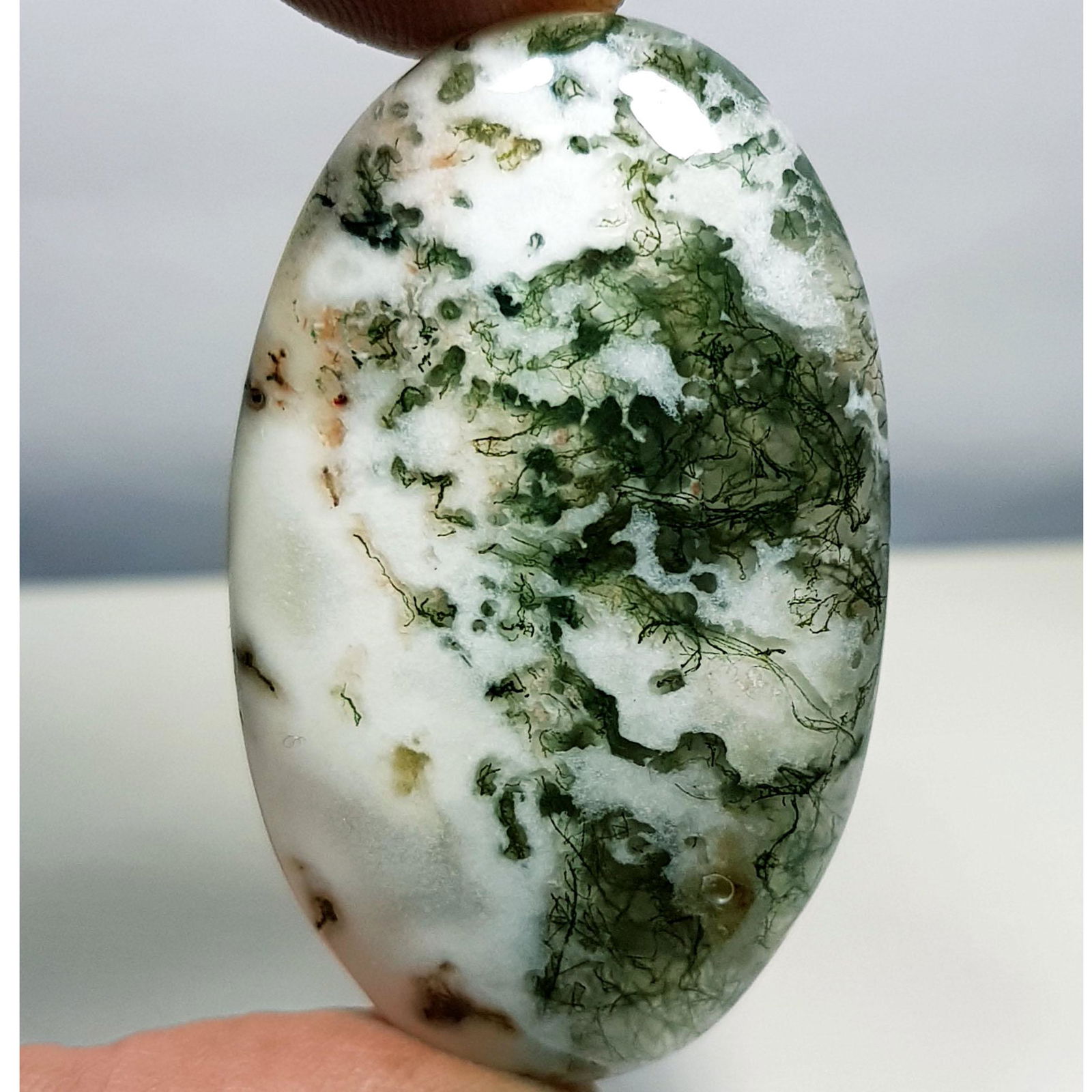 64.65 ct Natural Tree Jasper (1 of 6)