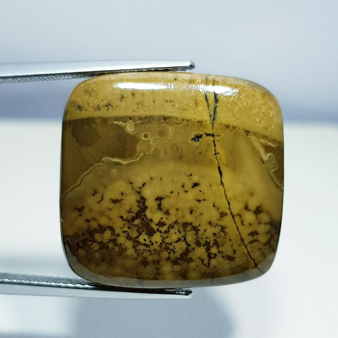 31.80 ct Natural Thunder Agate (1 of 6)