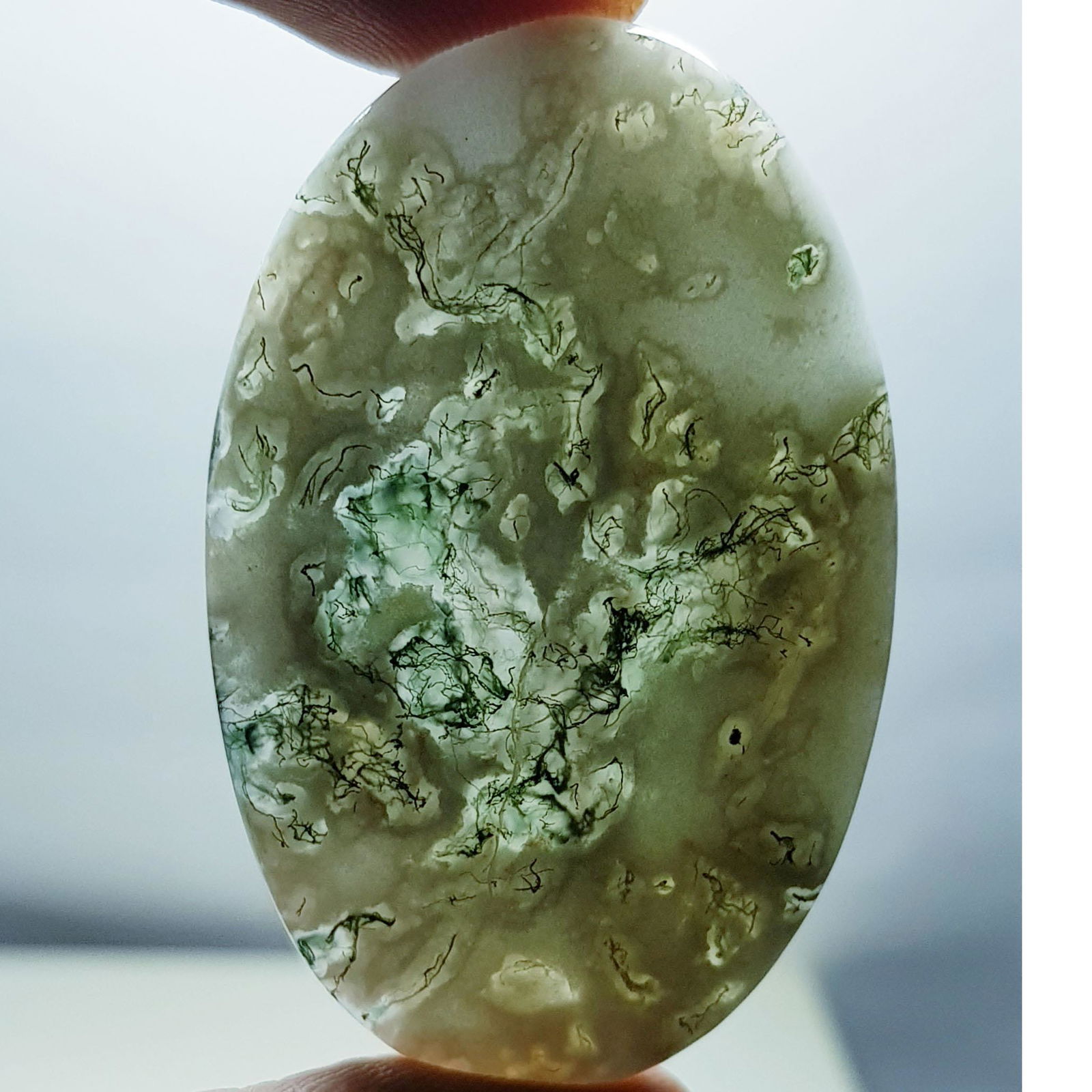 60.65 ct Natural Tree Jasper (1 of 6)