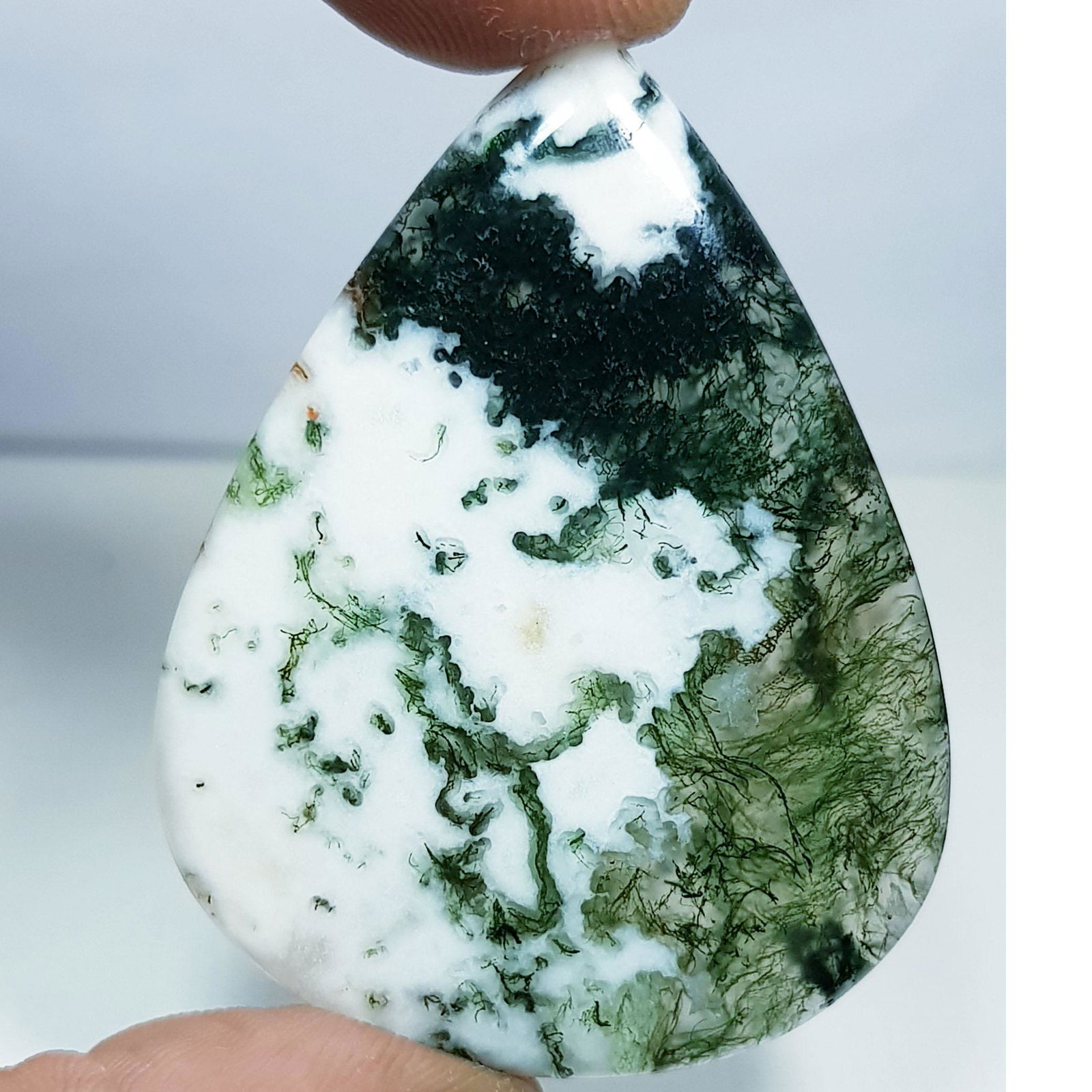 63.45 ct Natural Tree Jasper (1 of 5)
