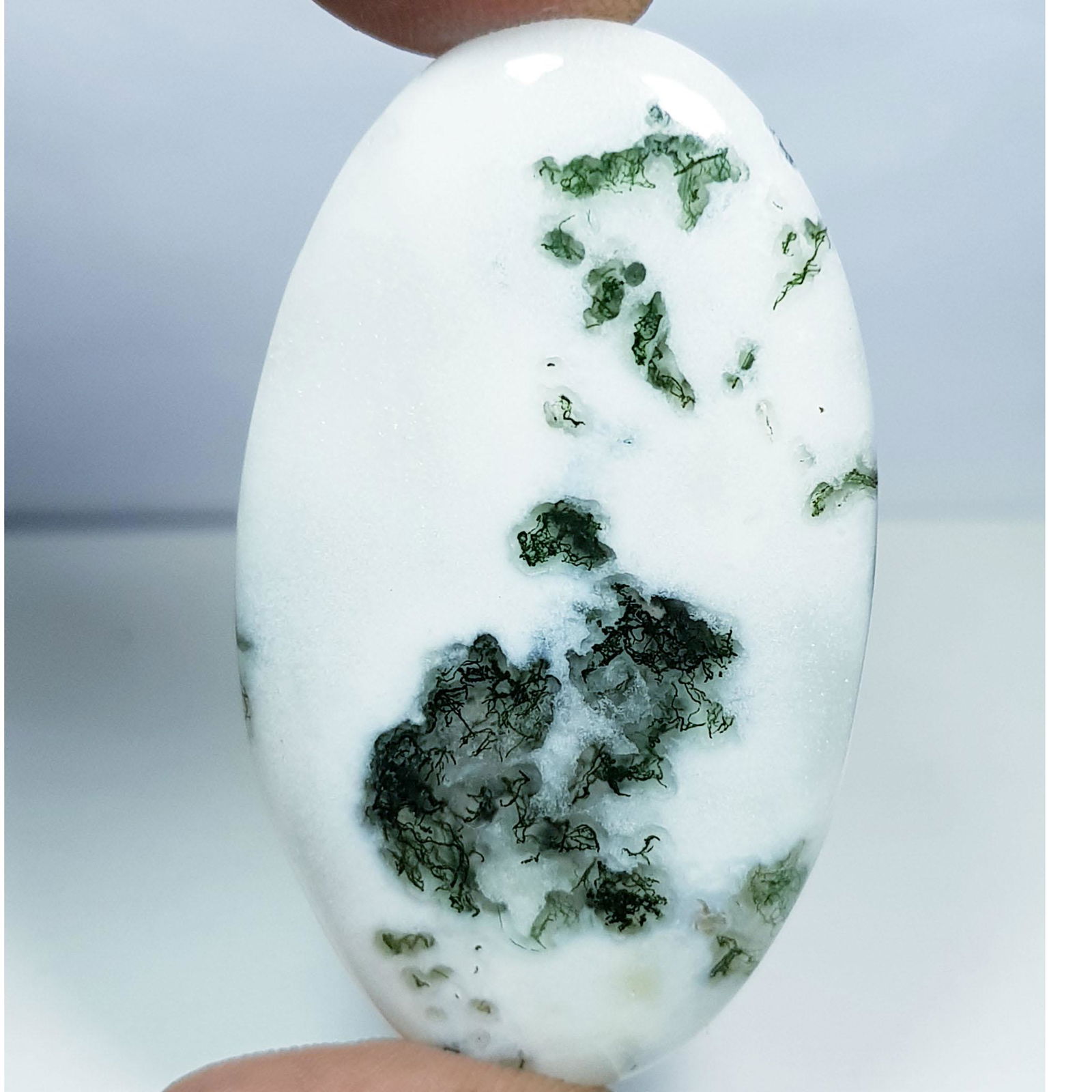 56.10 ct Natural Tree Jasper (1 of 5)