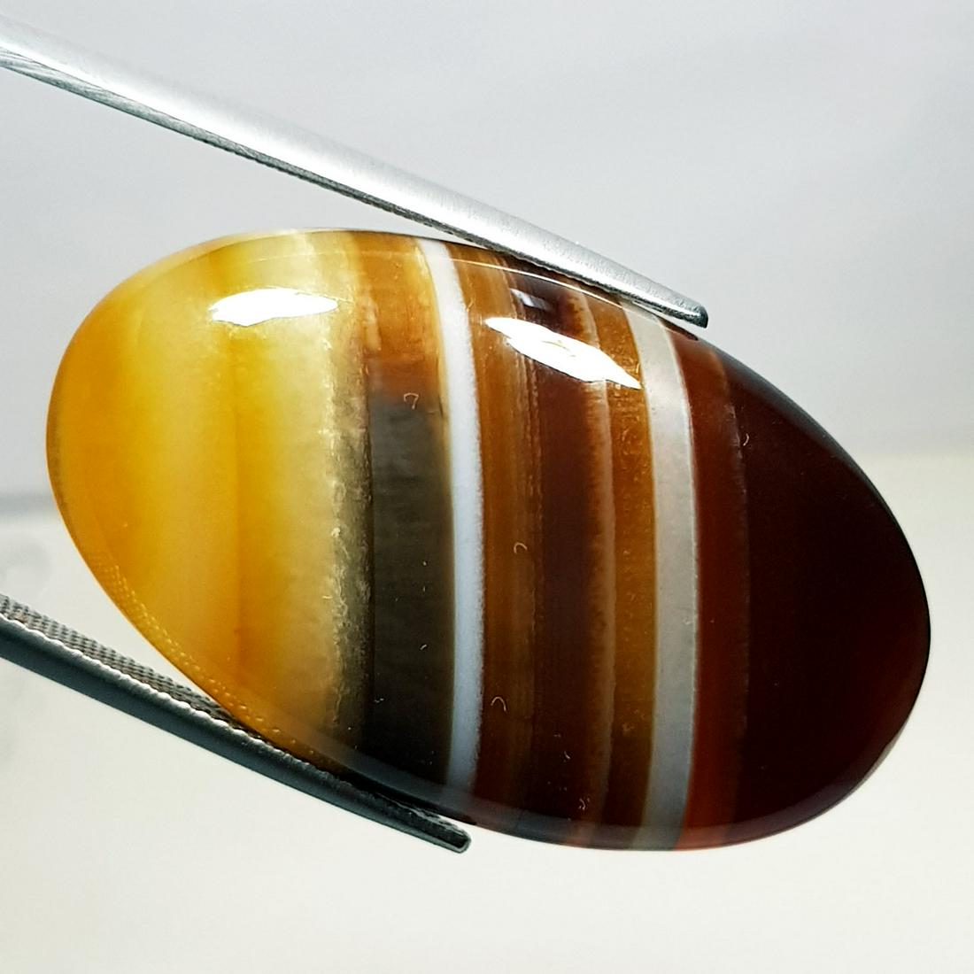 50.20 ct Natural Brown Lace Agate (1 of 5)