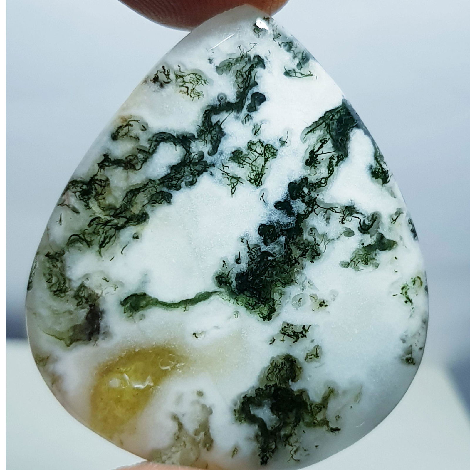 53.05 ct Natural Tree Jasper (1 of 6)