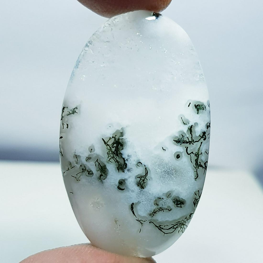 33.60 ct Natural Tree Jasper (1 of 6)