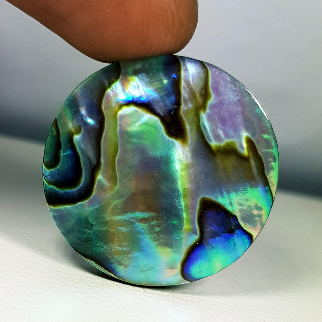 28.50 ct  Australian Abalon (1 of 6)