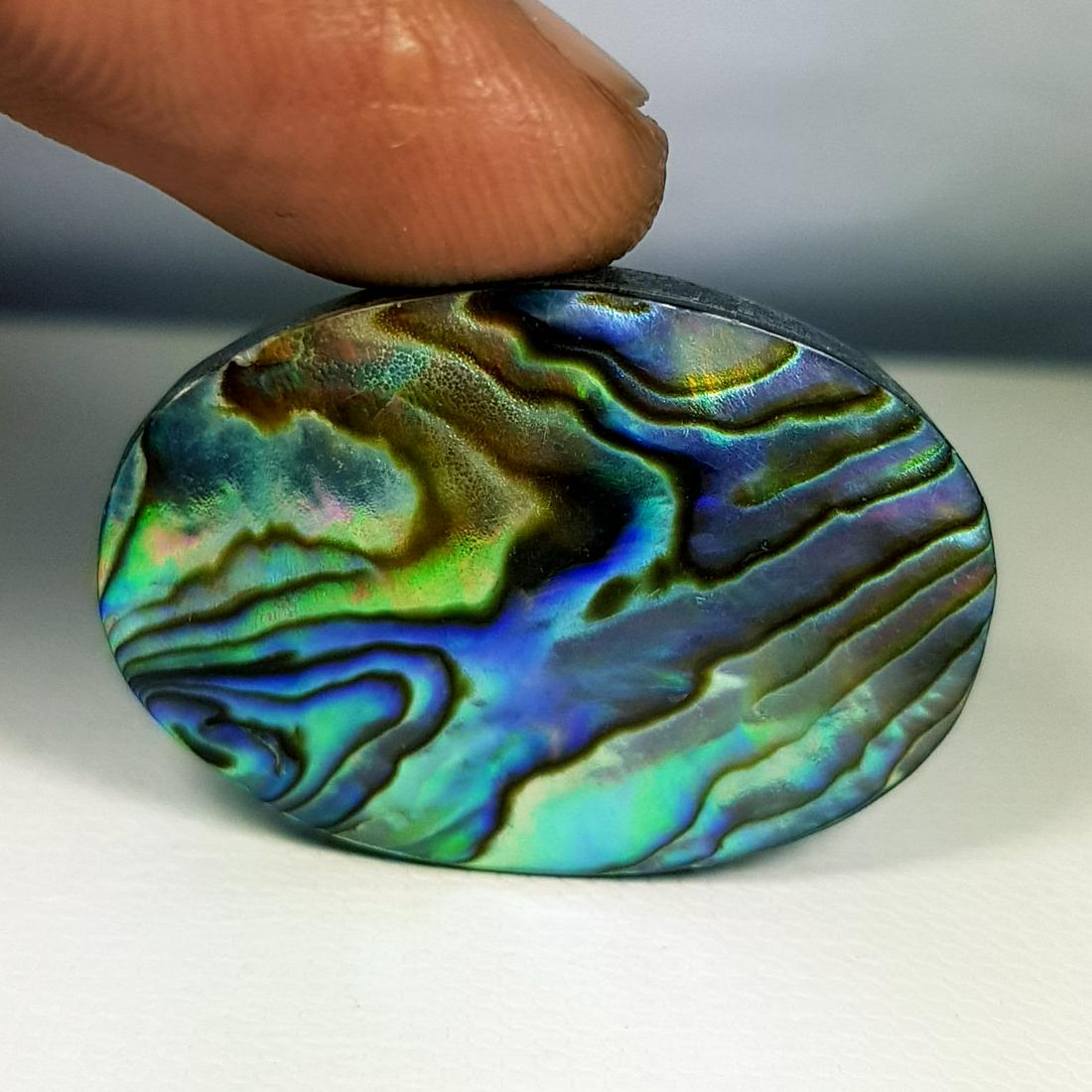 36.40 ct  Australian Abalon (1 of 6)