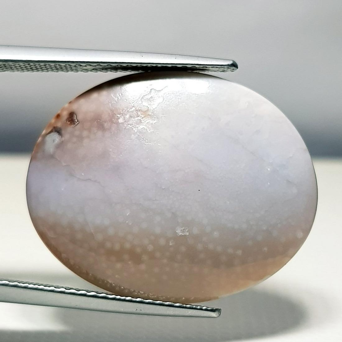 13.85 ct Dinosur Bone: Oval-Africa