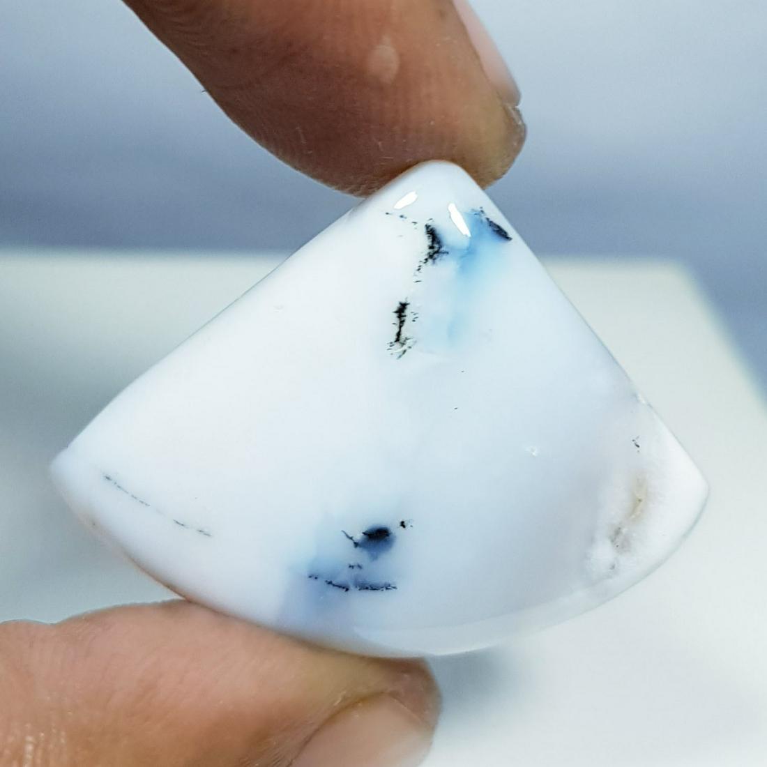 30.15 ct Natural Dendrite Opal (1 of 5)