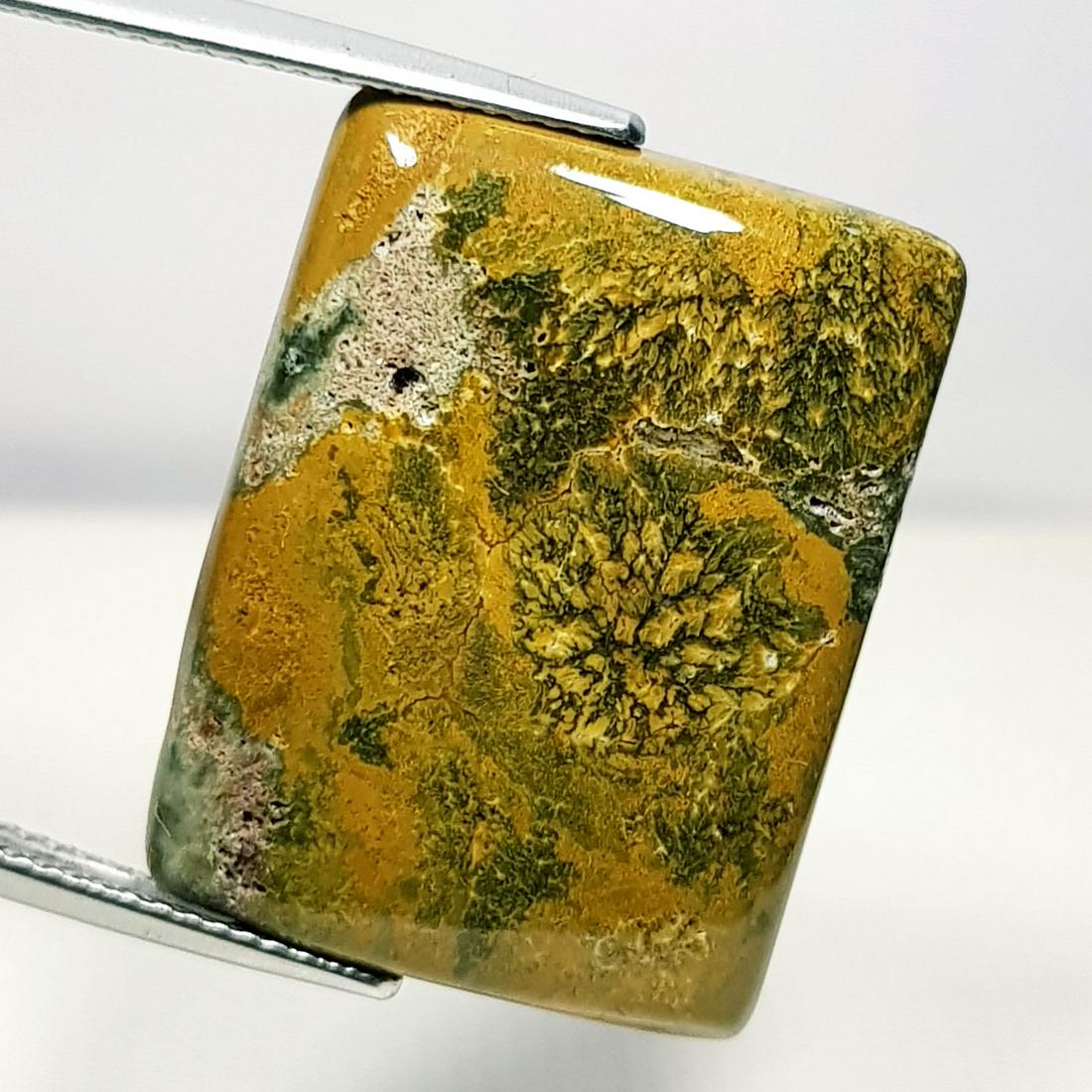 18.80 ct Natural Ocean Jasper (1 of 5)