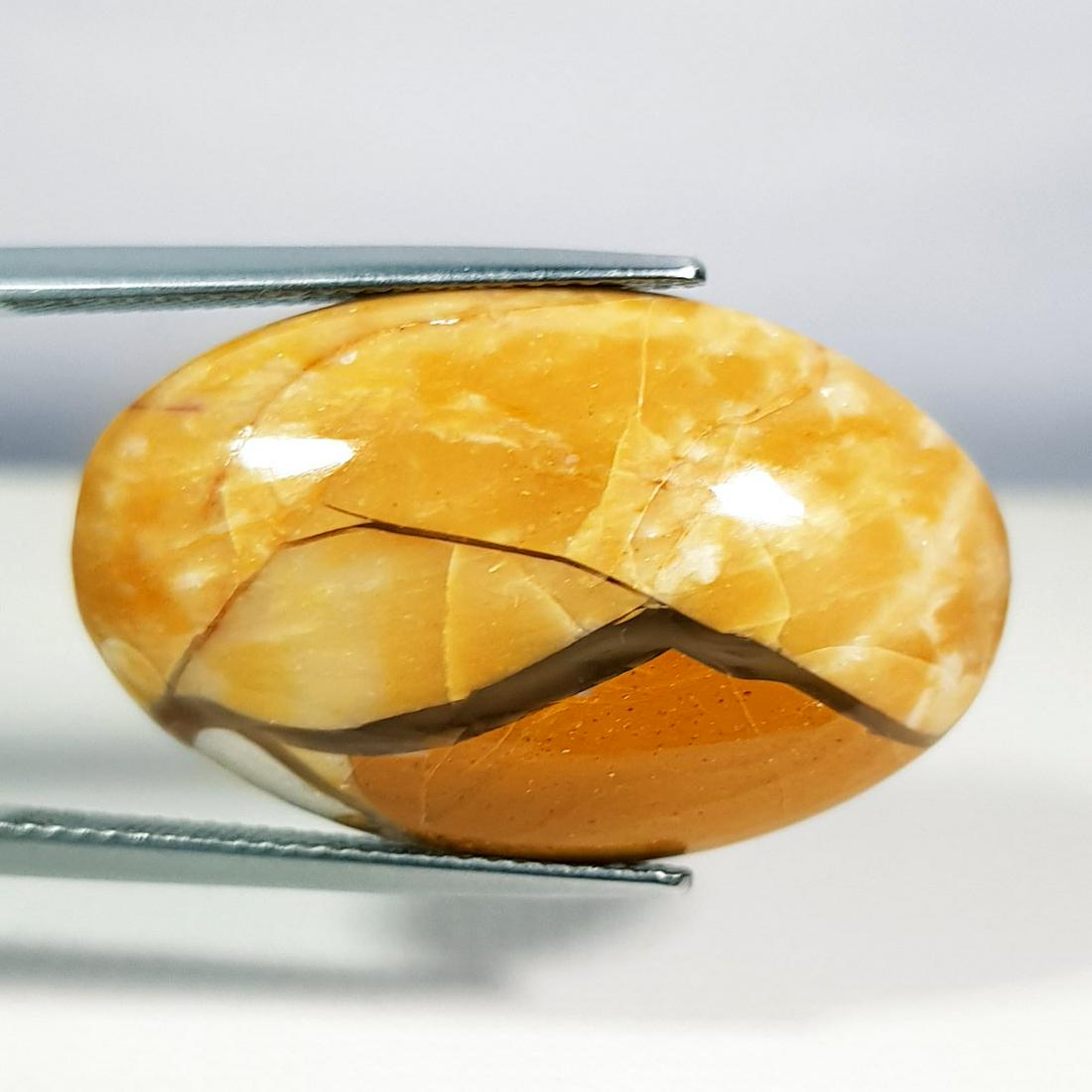 21.60 ct Natural Bracketed Mookaite (1 of 5)