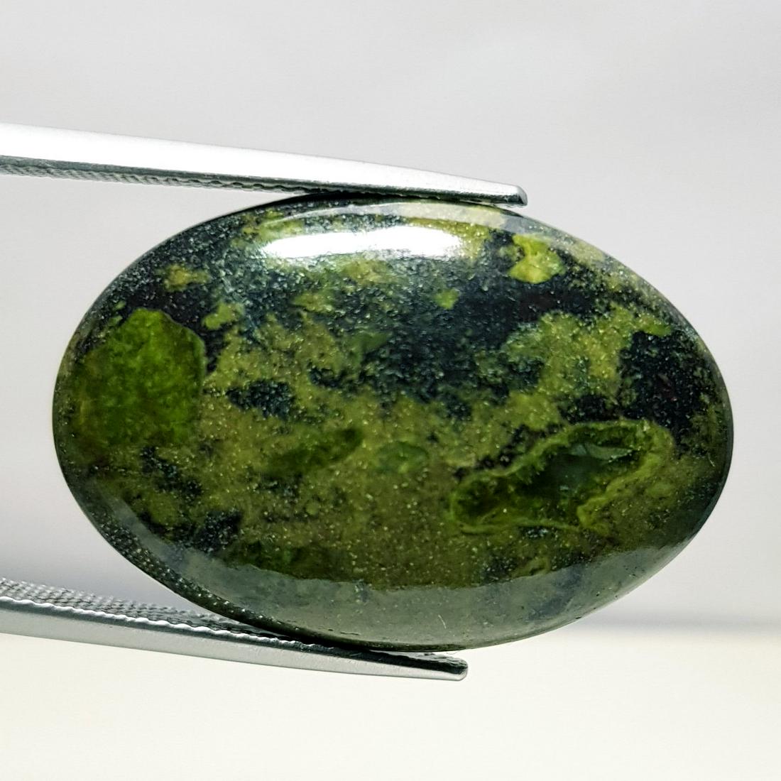 27.65 ct Natural Dragon Jasper (1 of 6)