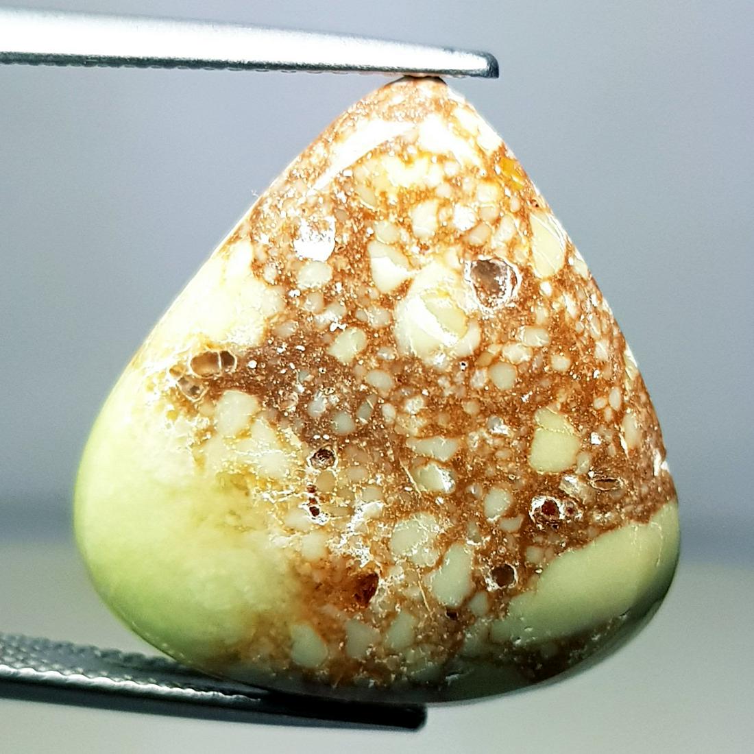 16.30 ct Natural China Jasper (1 of 5)