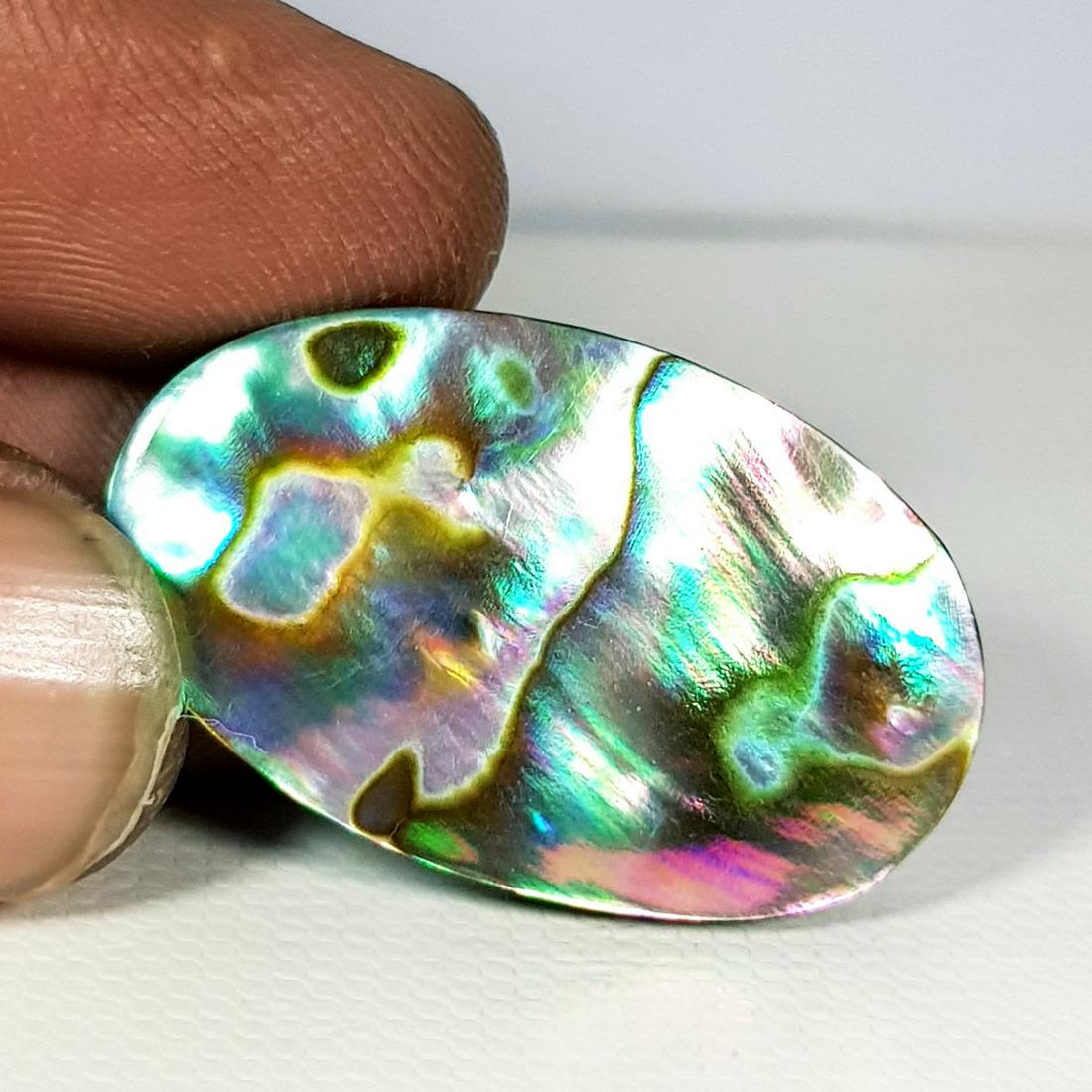 20.85 ct  Australian Abalon (1 of 5)