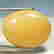 item-81751140=2