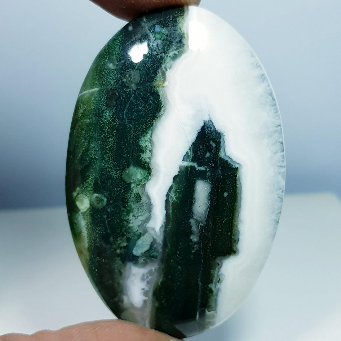 89.30 ct Natural Tree Jasper (1 of 5)