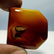 53.83 ct Natural Solar Fossil - 3