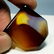 53.83 ct Natural Solar Fossil - 4