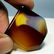 53.83 ct Natural Solar Fossil - 5