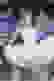 item-66578855=7