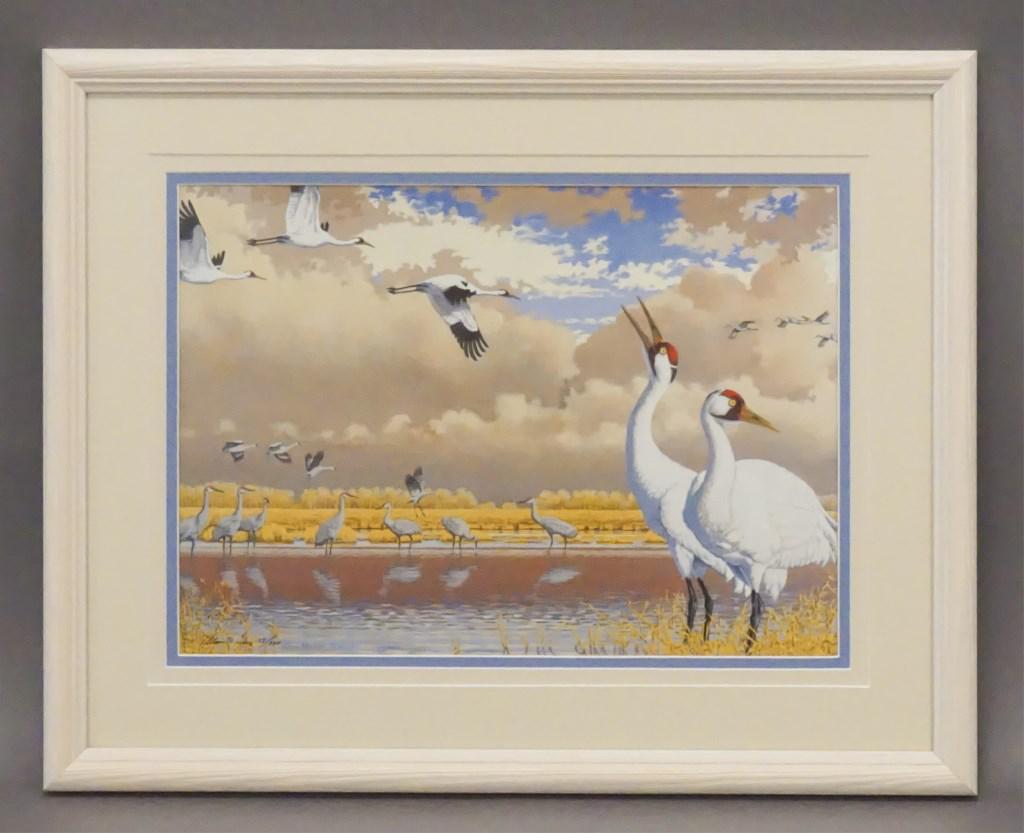 Allan Messer Sandbill & Whooping Cranes Print: Numbered 13 / 300. Cover, Bird Watcher's Digest Vol. 24 No. 4 March/April 2002. Sandbill & Whooping Cranes along the Platte River. The original painting is in private collection. [KRE 471]