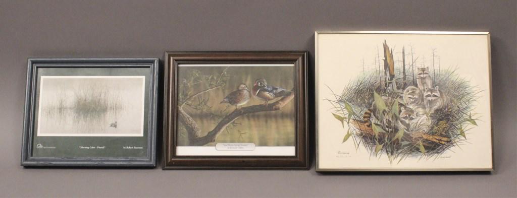 3 Framed Wildlife Art Prints: J. Lockhart - Raccoon, Richard Clifton - Soul Mates - Spring Woodies, Ducks Unlimited " Morning Calm - Pintail". [PNE 672]