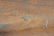 WWII M1 - .30 - 06 Springfield CAI Garand Rifle - 19