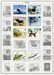 319 Poland Stamps from 1956 - 1977 - 6