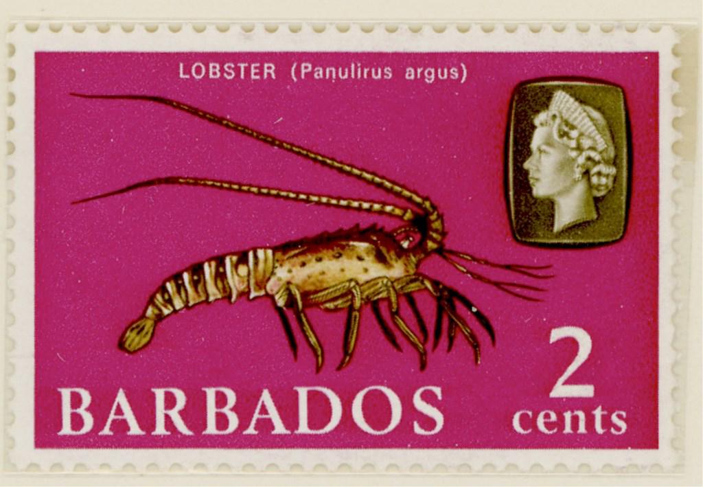 26 Barbados Stamps 1882 - 1954 (1 of 5)