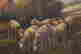 item-66400381=4