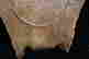 item-72879368=6