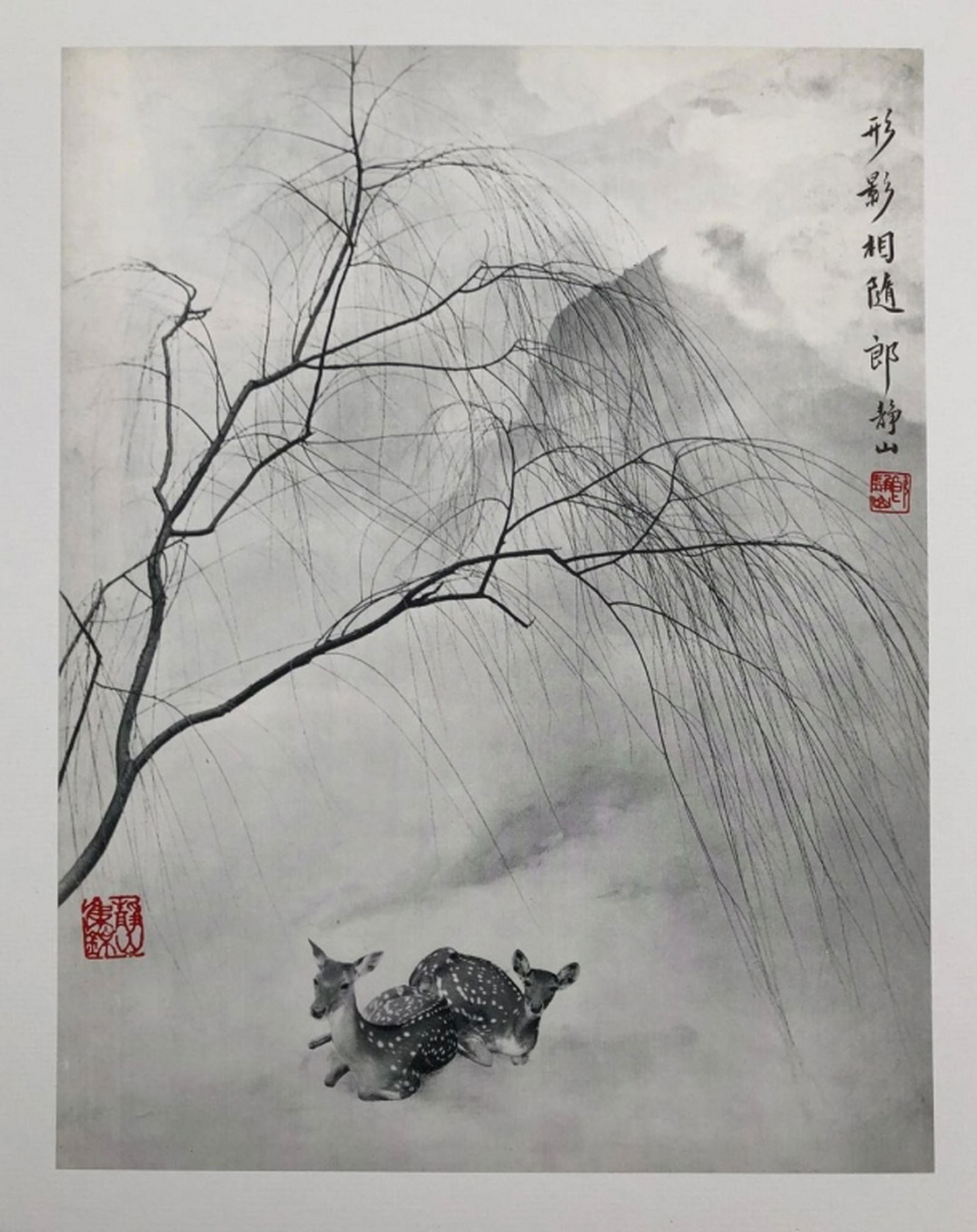 Photography of "Dear" by Lang JingShan(1892-1995) (1 of 4)