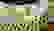 item-75617289=4