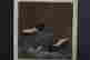 item-79092701=2