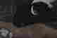 item-79092701=4