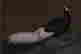 item-79092701=6