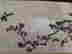 item-85408193=4