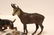 5 pc. Viennese Bronze Animals - 5